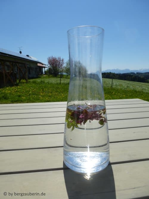 wasser