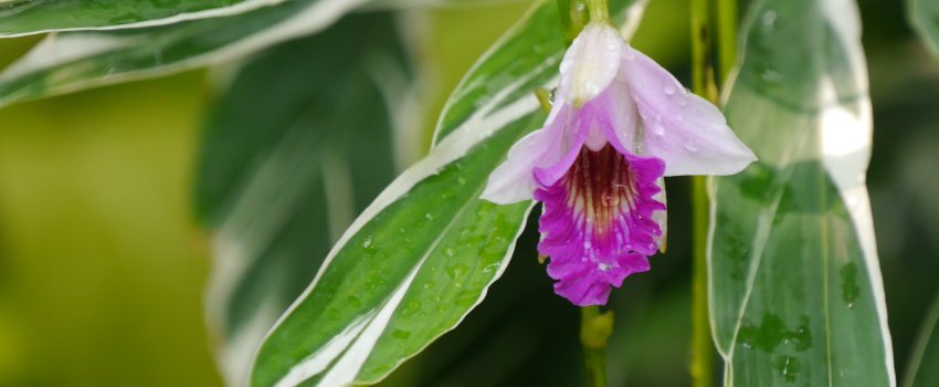 Kleine Rituale für Selbstliebe