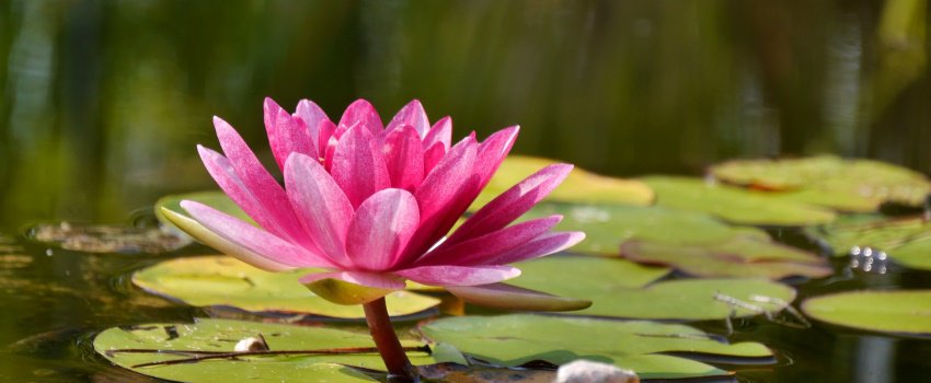 Kurzentspannung – Meine fünf Lieblingsmethoden