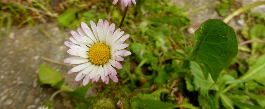 Wie freundlich bist du zu dir?