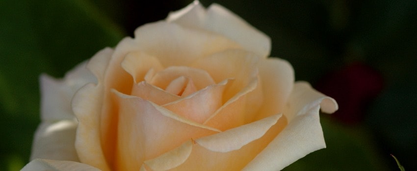 Wie gut genug fühlst du dich eigentlich?