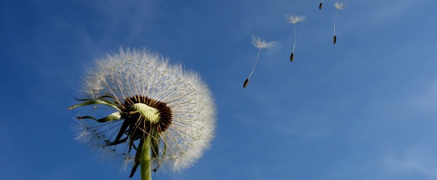 Ist Loslassen immer befreiend?