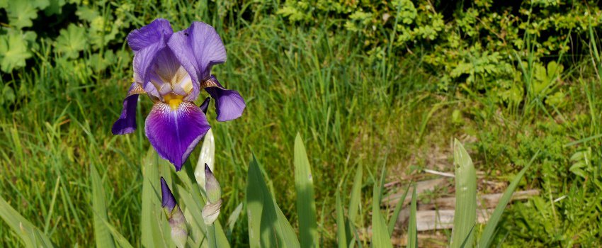Was bedeutet für dich ein erfülltes Leben?