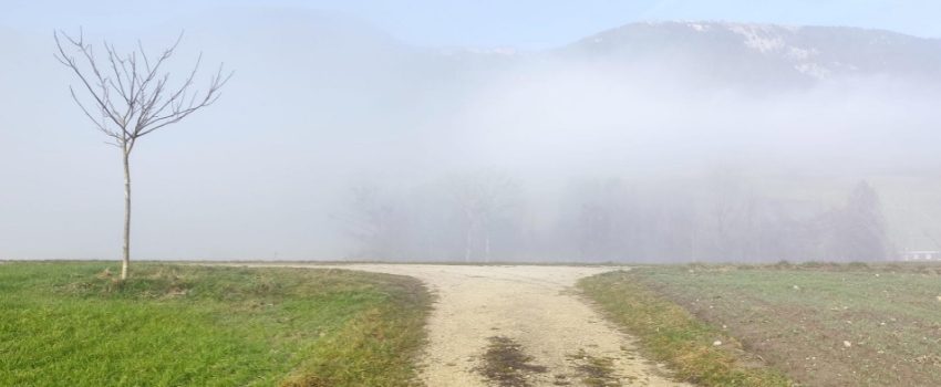 7 Schritte, wie Tarot dich bei deinen Entscheidungen unterstützen kann