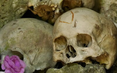Der Tod im Tarot